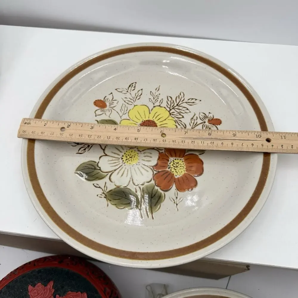Old Brook Collection Stoneware Retro MCM Stone Brook Dinner Plate‎ 10.75” D EUC